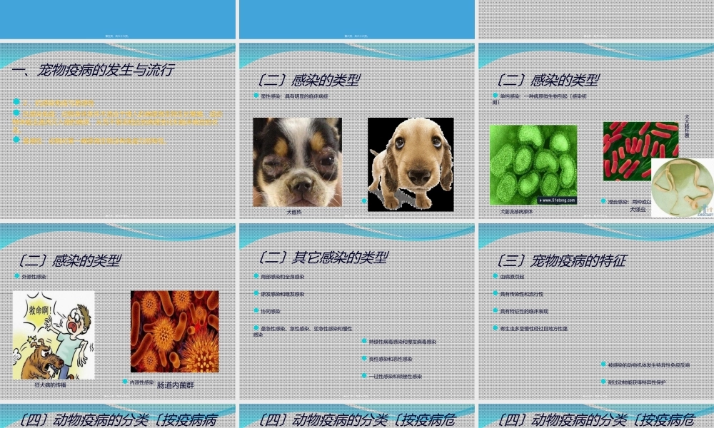 宠物传染病概述.ppt