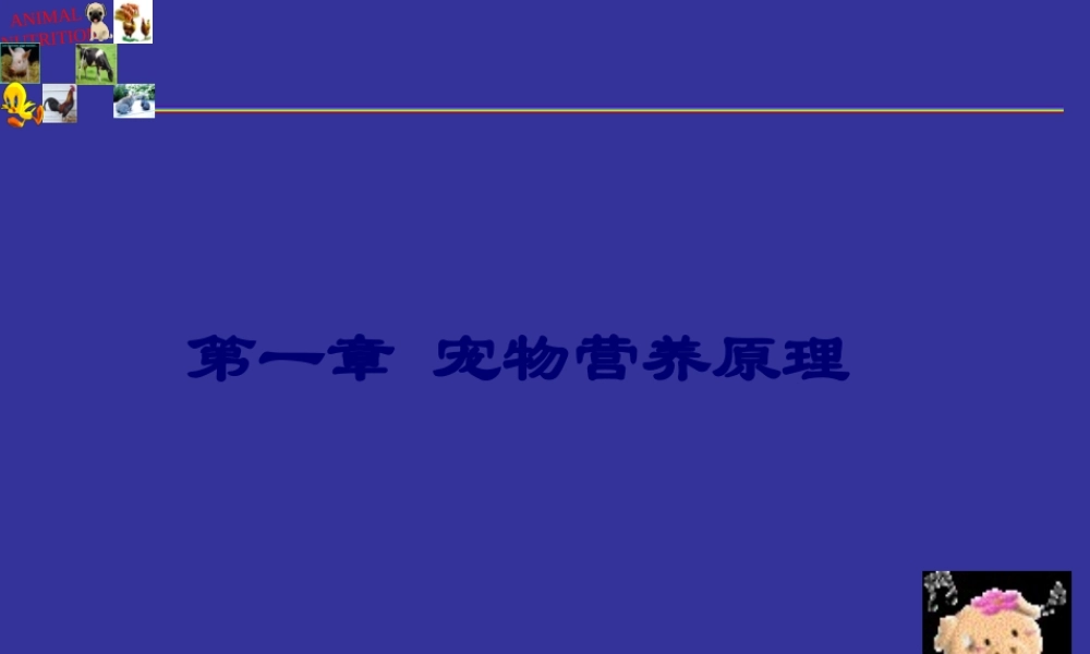 宠物营养学基本知识(能量与宠物营养).pptx