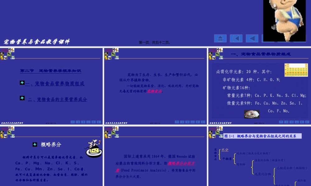宠物营养学基本知识(能量与宠物营养).pptx