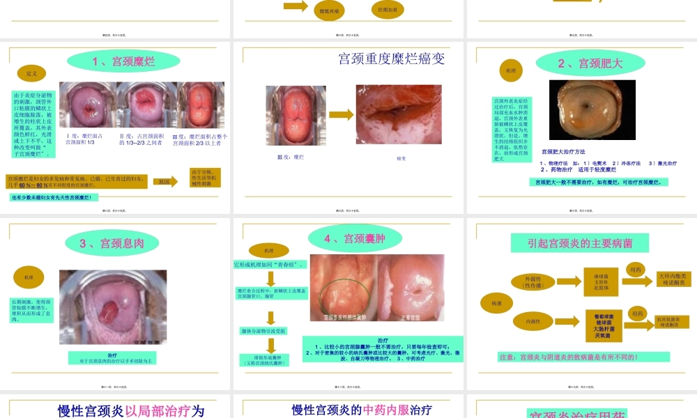 宫颈炎、附件炎、盆腔炎....pptx