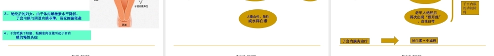 宫颈炎、附件炎、盆腔炎....pptx