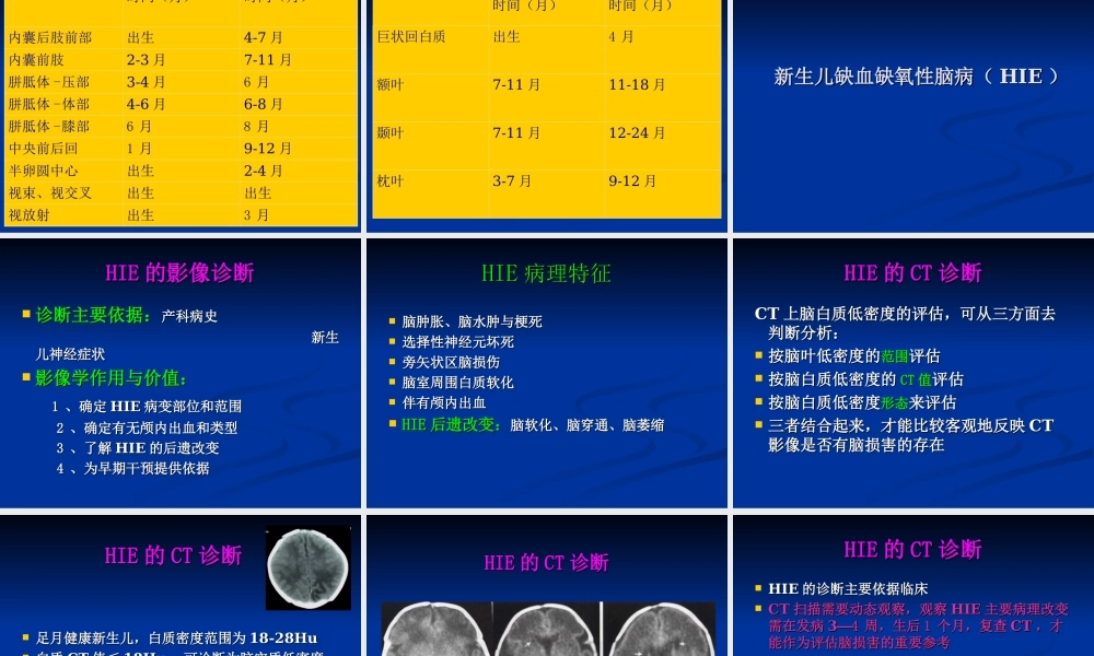 新生儿缺氧缺血性(1).ppt