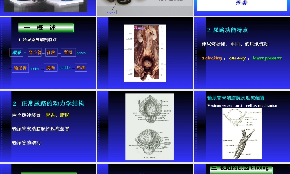 泌尿系梗阻双语版2012[2月](1).ppt