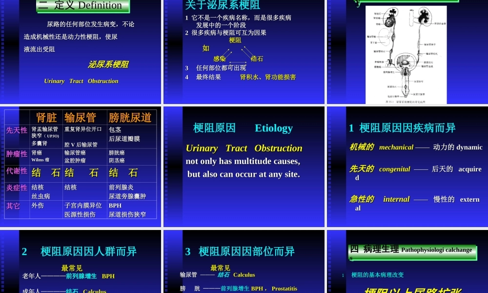 泌尿系梗阻双语版2012[2月](1).ppt
