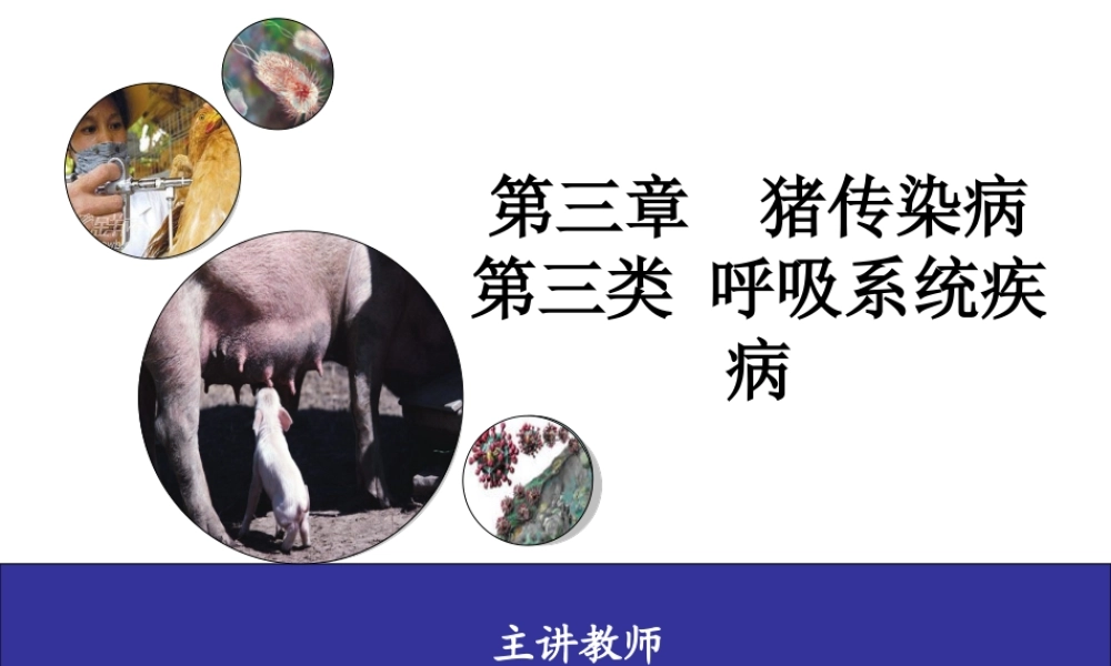 猪接触性传染性胸膜肺炎-(APP).ppt