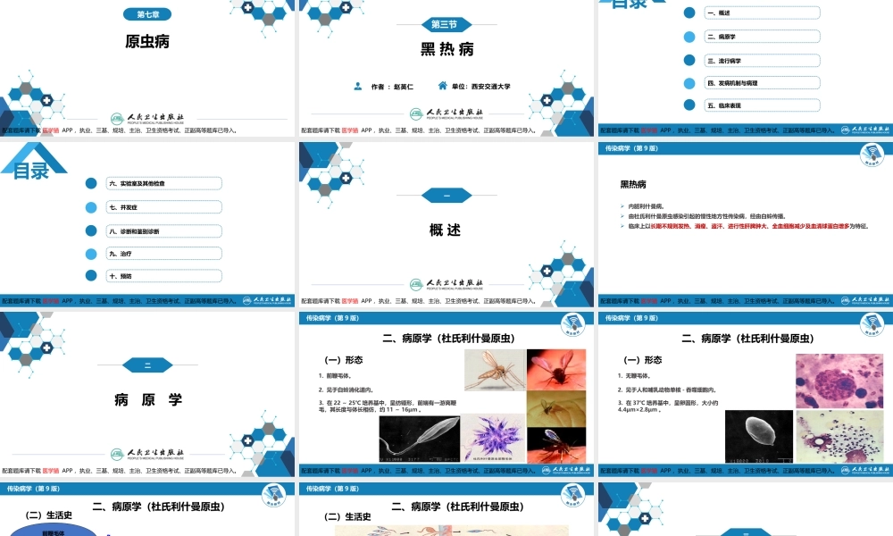 第七章 原虫病 第三节 黑热病(1).pptx