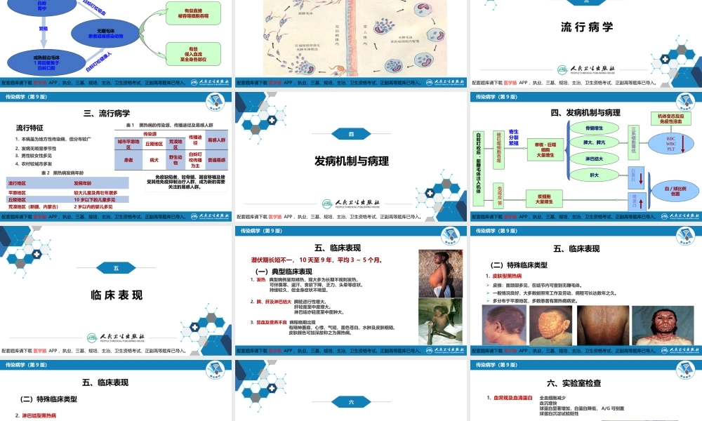 第七章 原虫病 第三节 黑热病(1).pptx