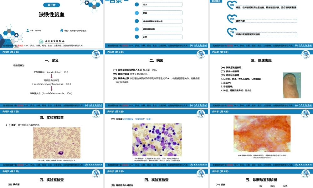 第三章缺铁性贫血(1).pptx