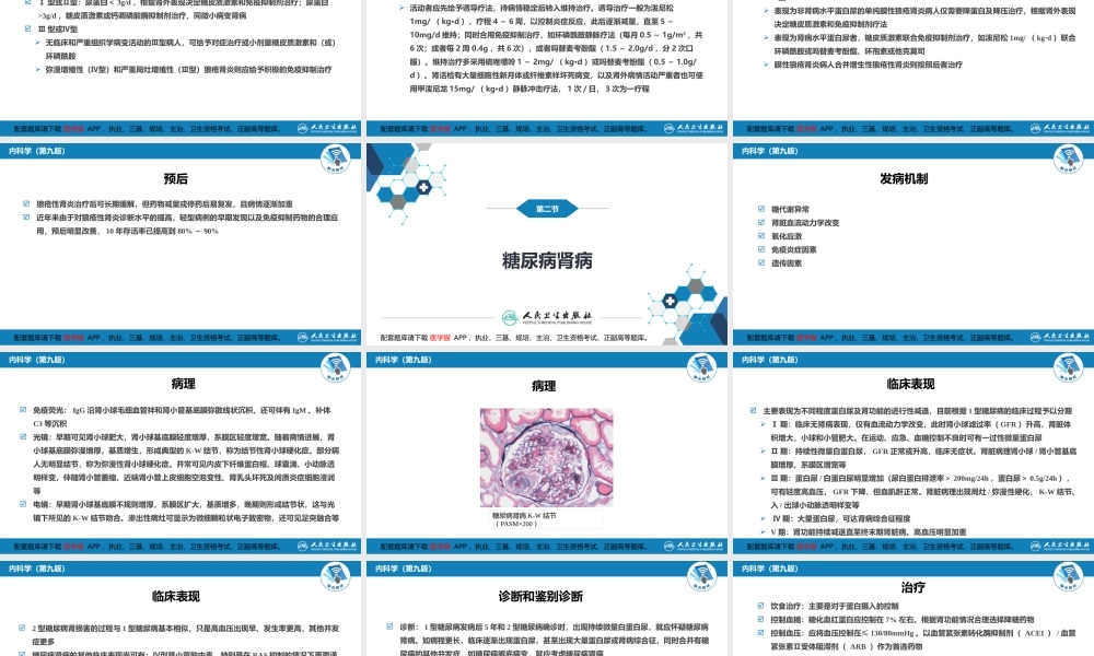 第三章继发性肾病(1).ppt