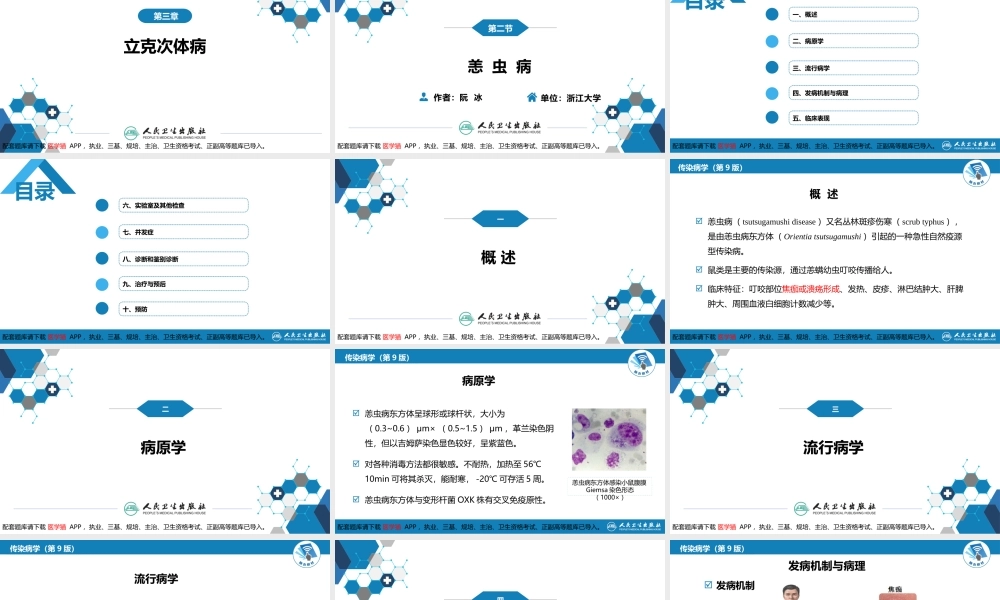 第三章 立克次体病 第二节 恙虫病(1).pptx