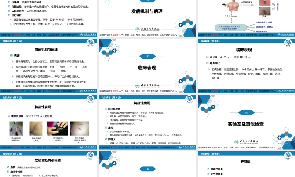 第三章 立克次体病 第二节 恙虫病(1).pptx