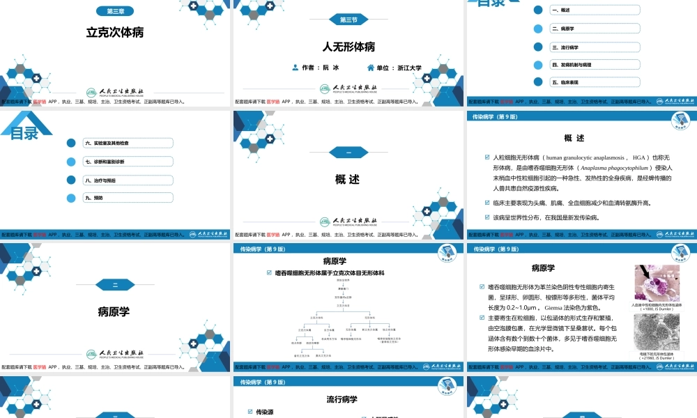 第三章 立克次体病 第三节 人无形体病(1).pptx