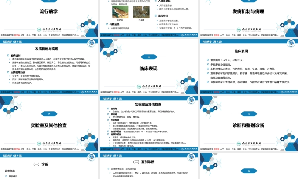 第三章 立克次体病 第三节 人无形体病(1).pptx