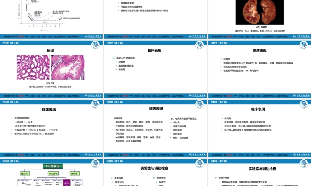 第九章急性肾损伤(1).ppt