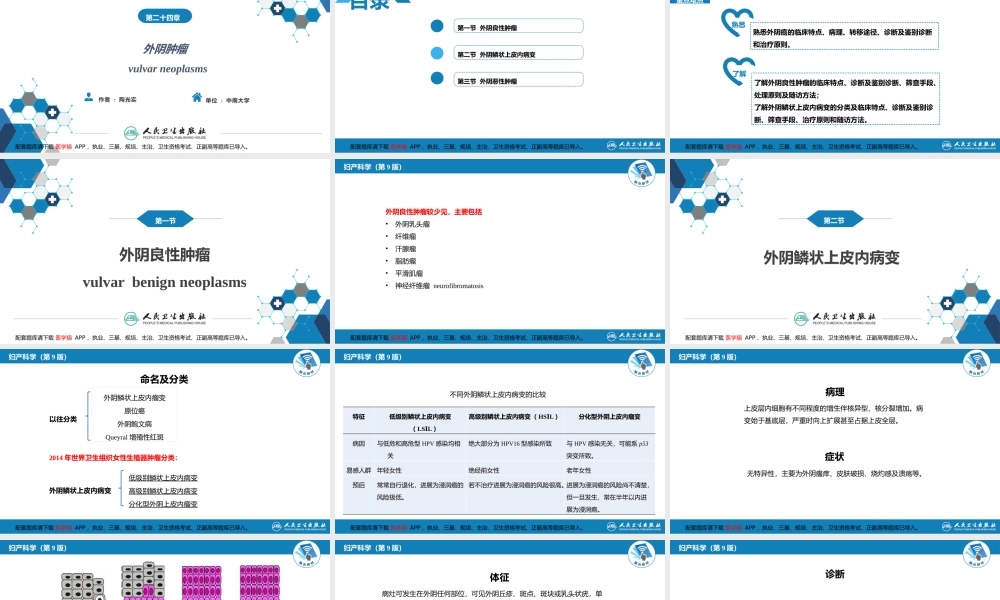 第二十四章 外阴肿瘤.(1).pptx