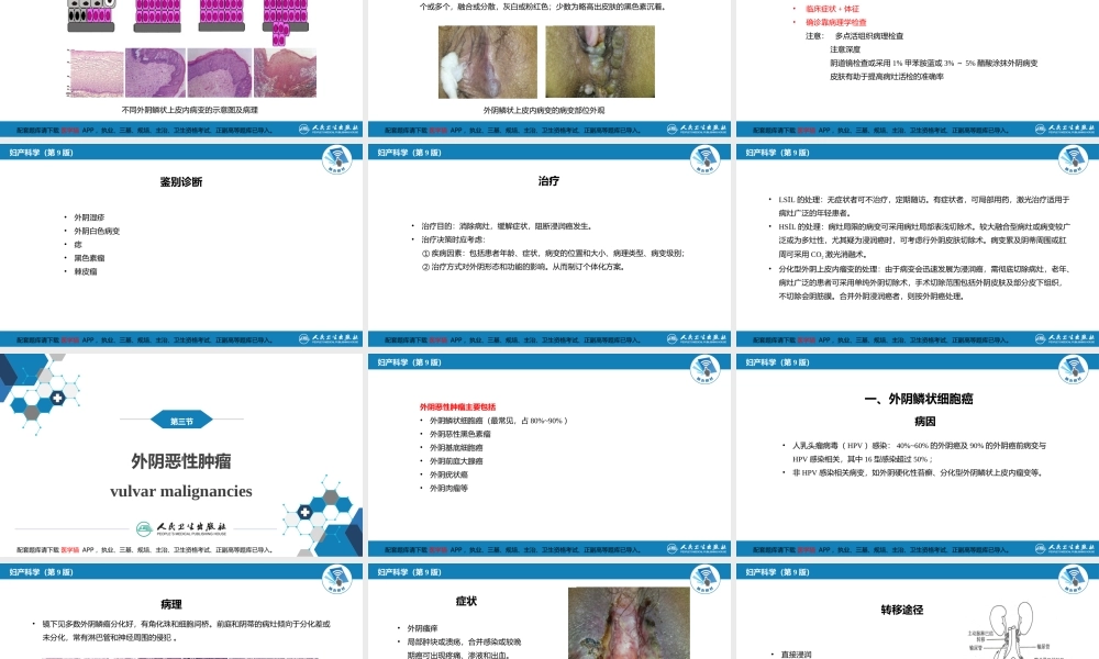 第二十四章 外阴肿瘤.(1).pptx