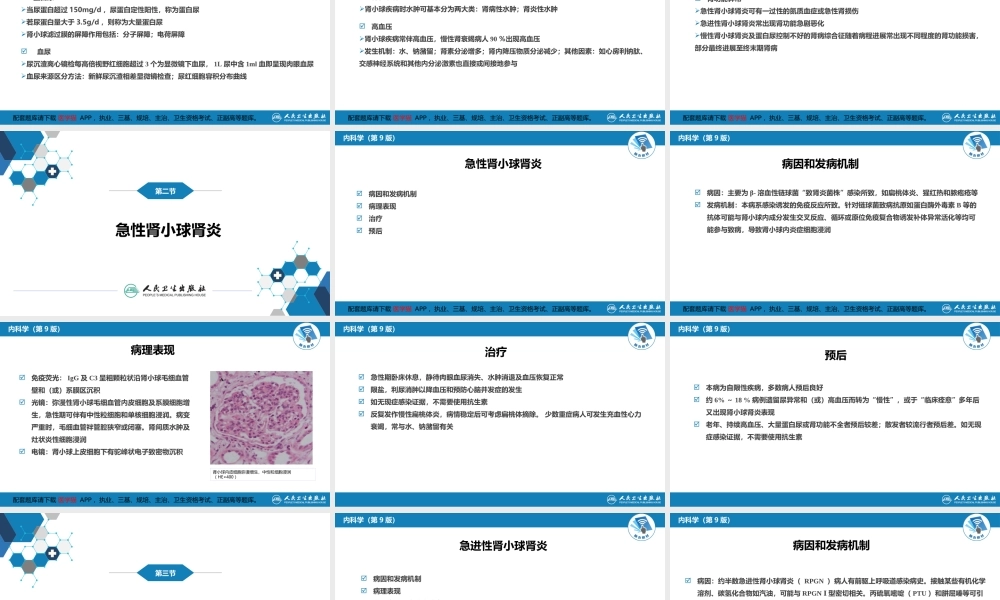 第二章原发性肾小球疾病(1).ppt