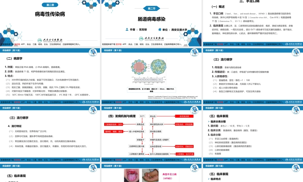 第二章 病毒性传染病 第二节 肠道病毒感染 手足口病+病毒感染性腹泻(1).pptx