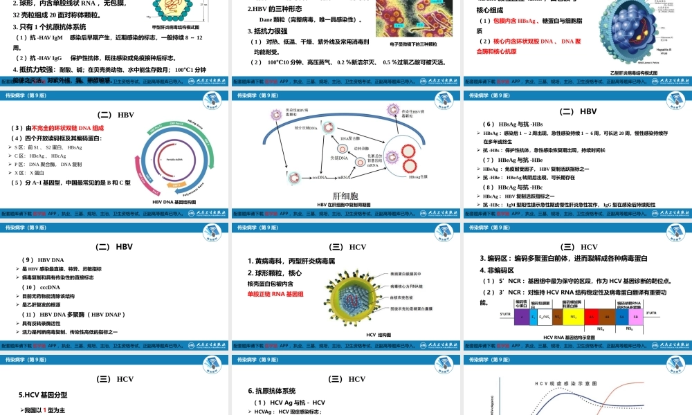第二章 病毒性传染病 第一节 病毒性肝炎（一）(1).pptx
