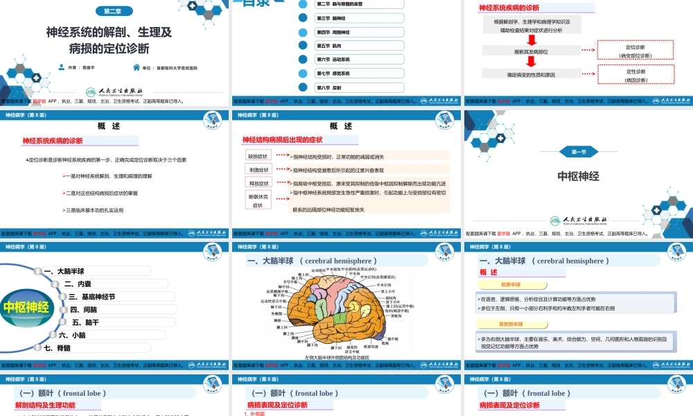 第二章 神经系统的解剖、生理及病损的定位诊断（1）(1).pptx