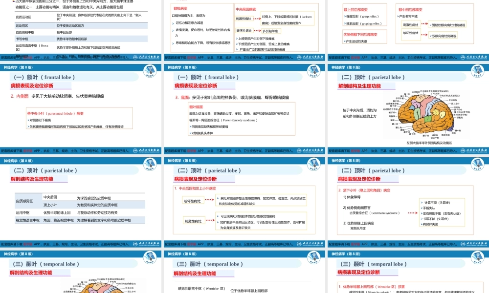 第二章 神经系统的解剖、生理及病损的定位诊断（1）(1).pptx