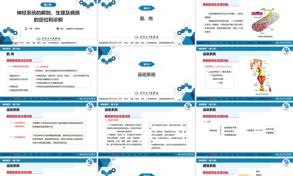 第二章 神经系统的解剖、生理及病损的定位诊断（4）(1).pptx