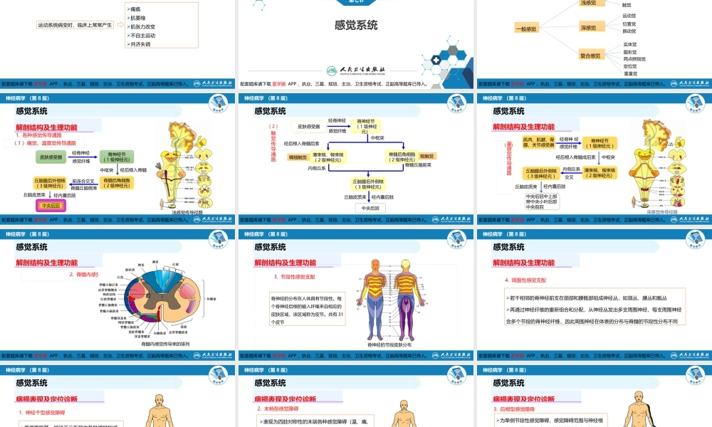 第二章 神经系统的解剖、生理及病损的定位诊断（4）(1).pptx