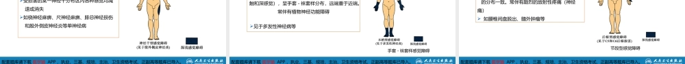 第二章 神经系统的解剖、生理及病损的定位诊断（4）(1).pptx
