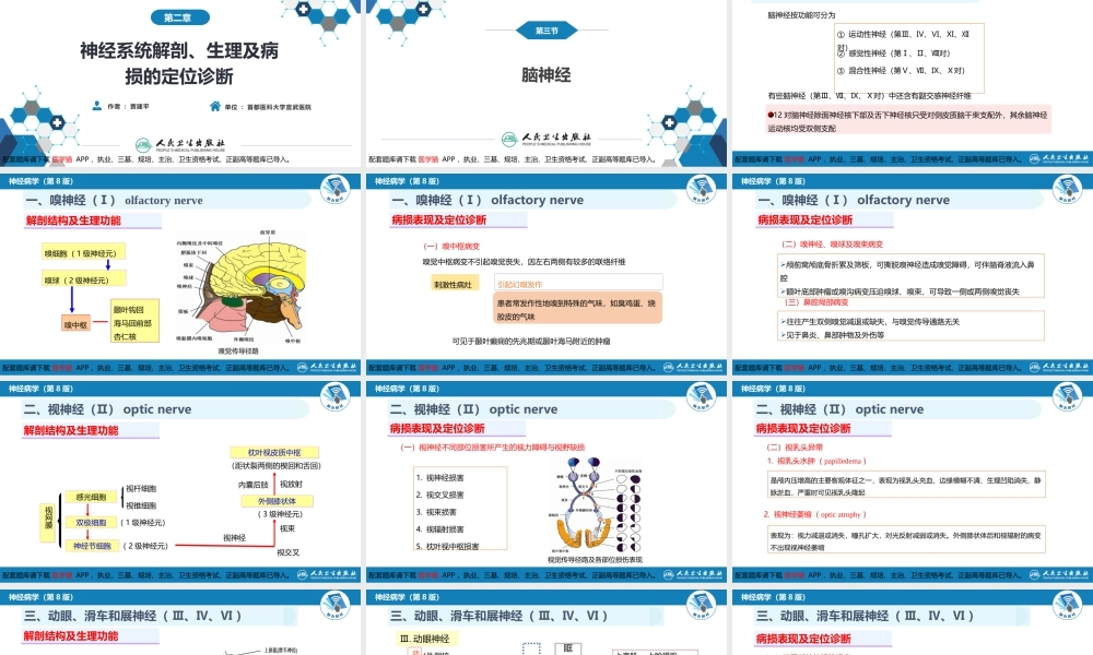 第二章 神经系统的解剖、生理及病损的定位诊断（3）(1).pptx