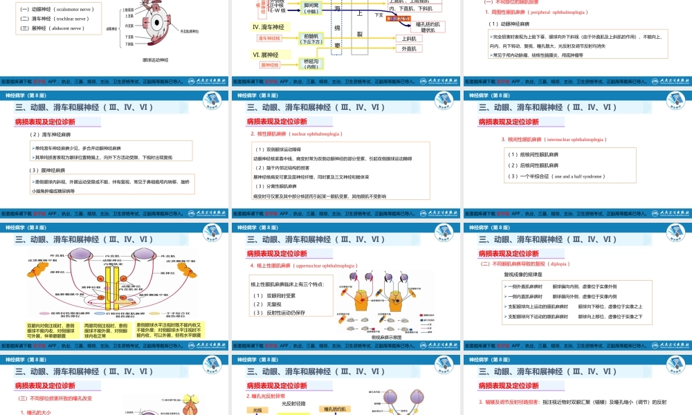 第二章 神经系统的解剖、生理及病损的定位诊断（3）(1).pptx