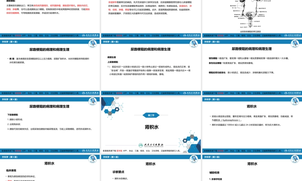 第五十一章 尿路梗阻(1).pptx