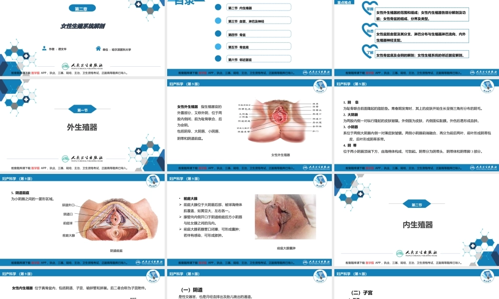 第二章女性生殖系统解剖(1).ppt