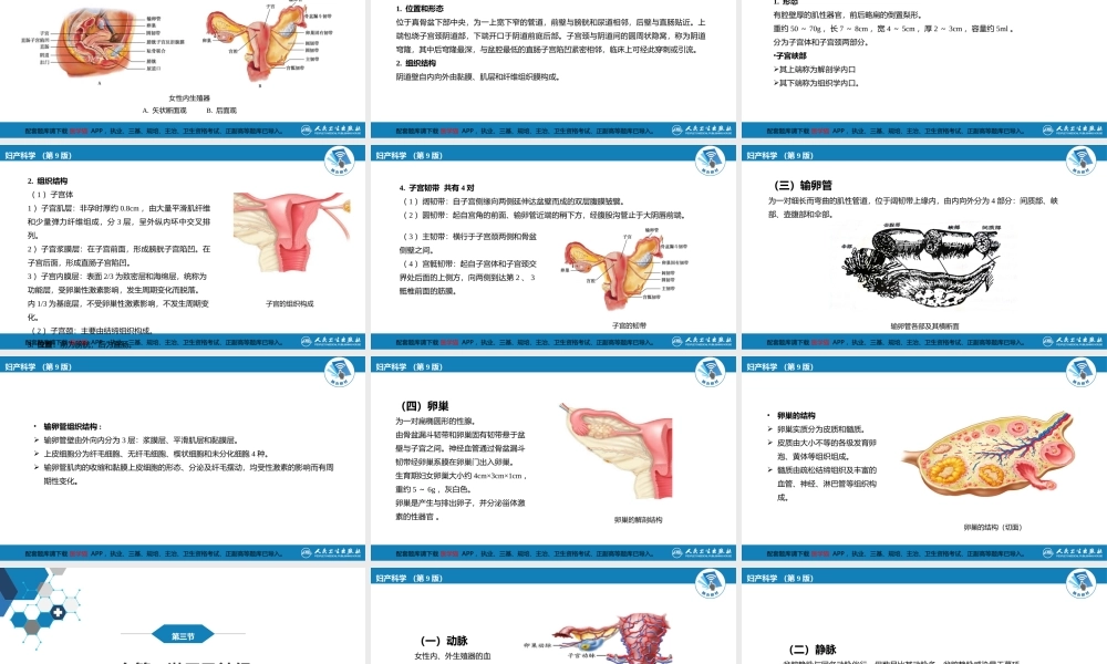 第二章女性生殖系统解剖(1).ppt