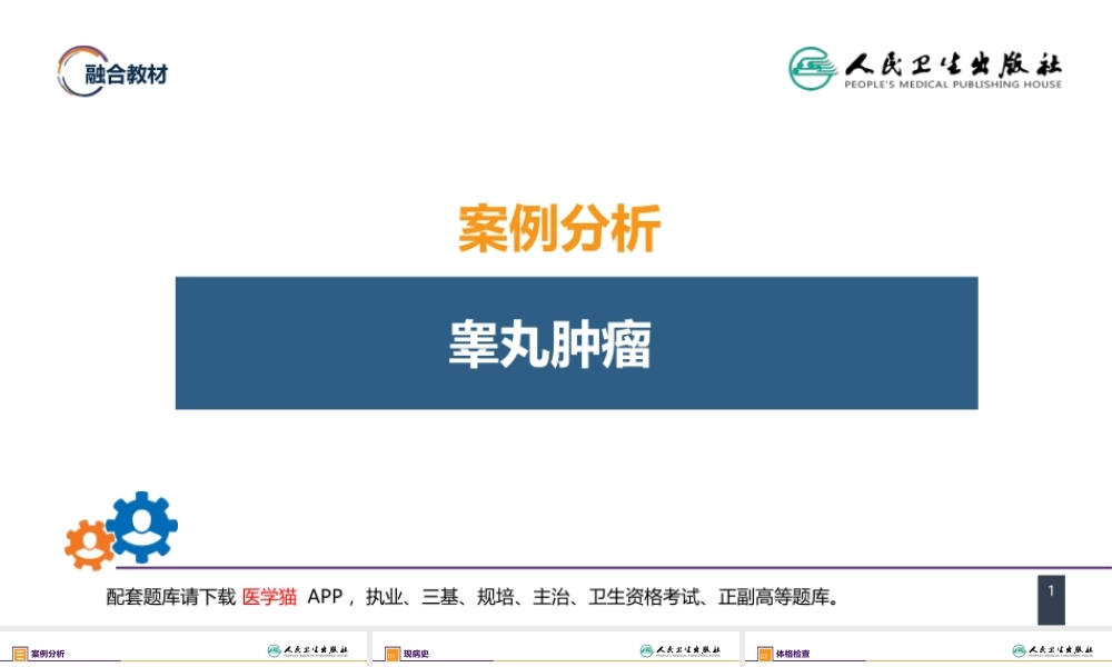 第五十三章 泌尿、男生殖系统肿瘤 案例分析-睾丸肿瘤 (1).pptx