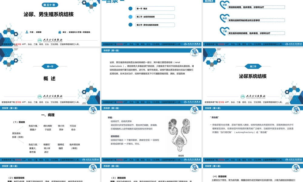 第五十章 泌尿、男生殖系统结核(1).pptx