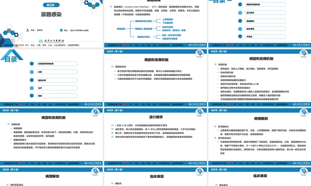 第五章尿路感染(1).ppt