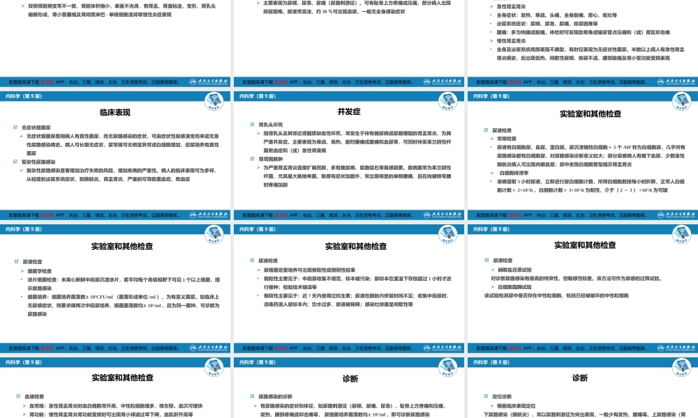 第五章尿路感染(1).ppt