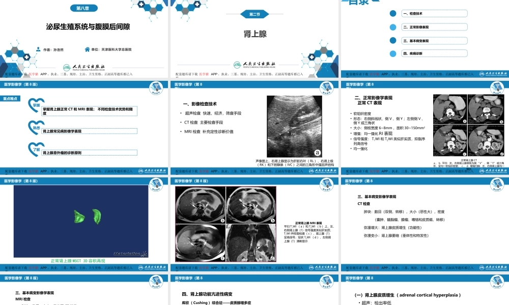 第八章 泌尿生殖系统与腹膜后间隙 第二节 肾上腺(1).pptx