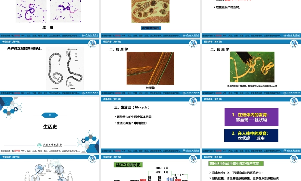 第八章 蠕虫病 第二节 丝虫病(1).pptx