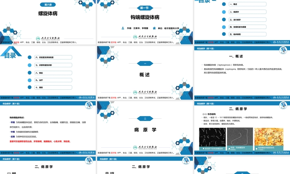 第六章 螺旋体病 第一节 钩端螺旋体病(1).pptx
