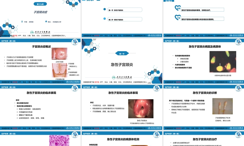 第十九章 子宫颈炎症.(1).pptx