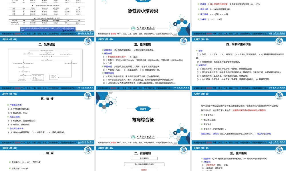 第十二章 泌尿系统疾病 第一节-第六节(1).pptx