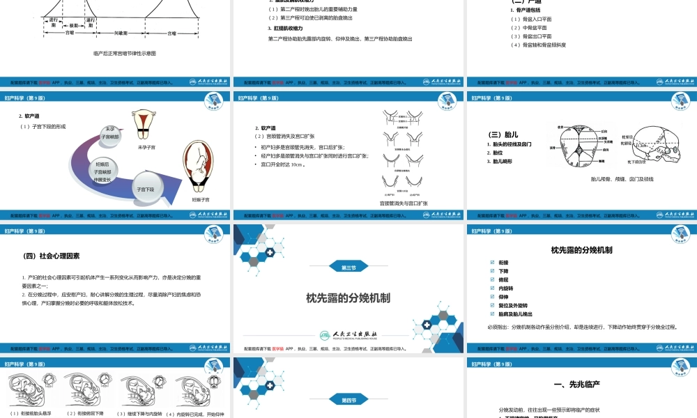 第十二章正常分娩..(1).ppt