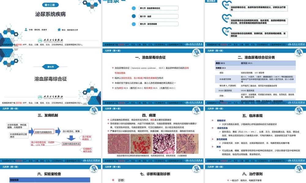 第十二章 泌尿系统疾病 第七节-第九节(1).pptx