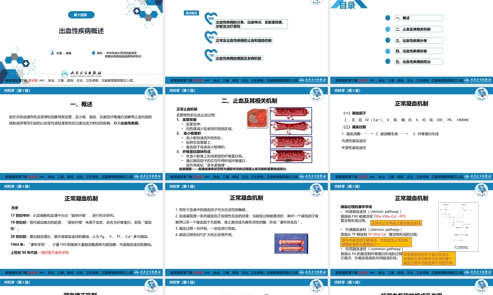 第十四章出血性疾病概述(1).pptx