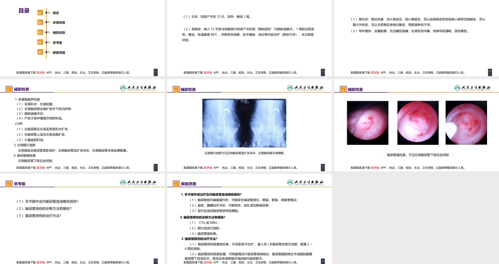 第四十八章 案例分析-输尿管损伤(1).pptx