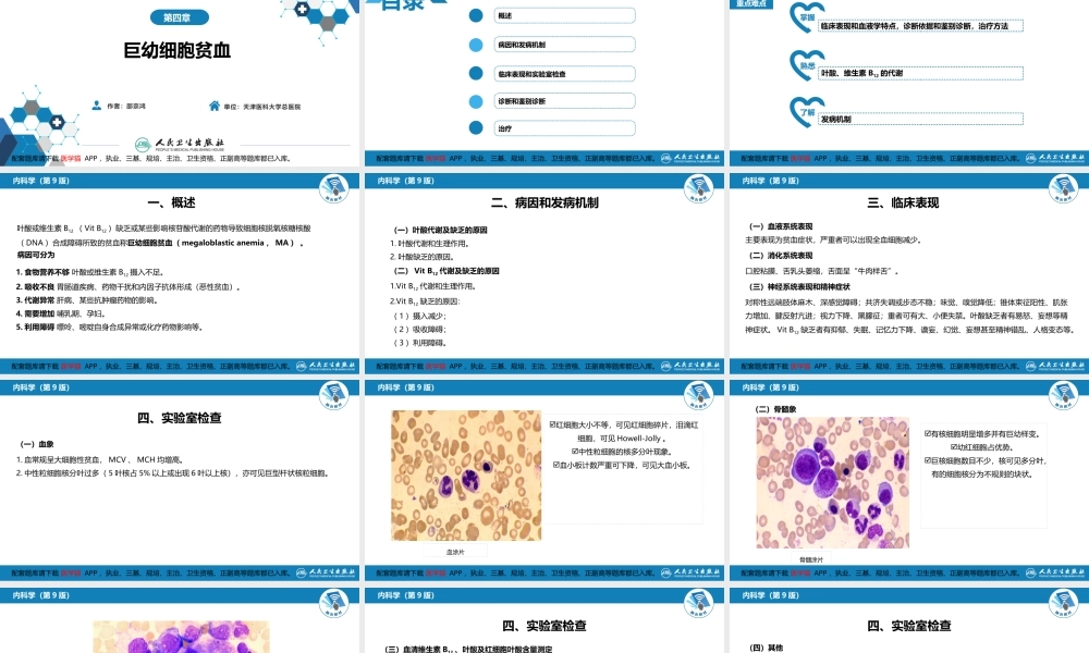 第四章巨幼细胞贫血(1).pptx