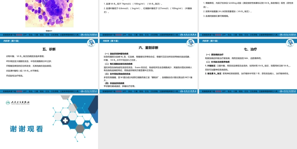 第四章巨幼细胞贫血(1).pptx