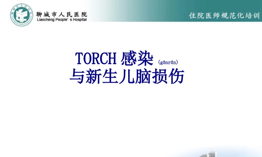 2022年医学专题—TORCH感染与新生儿脑损伤.ppt
