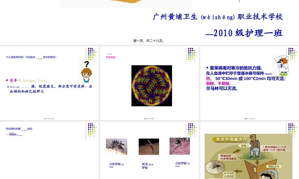 2022年医学专题—传染病——登革热修改.ppt